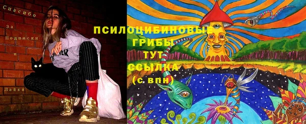 спиды Абаза