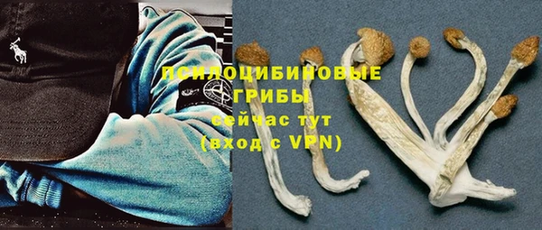спиды Абаза