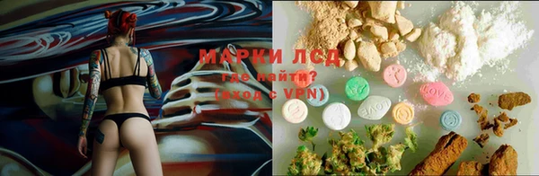 спиды Абаза