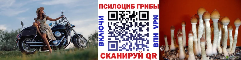 Галлюциногенные грибы мицелий  нарко площадка состав  Карабаново 